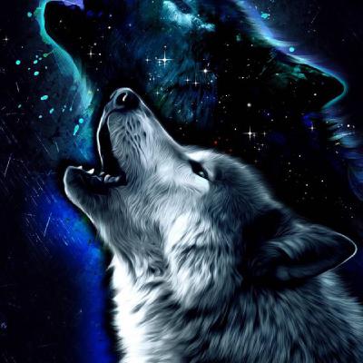 Episode 8 - RunningWolf's show