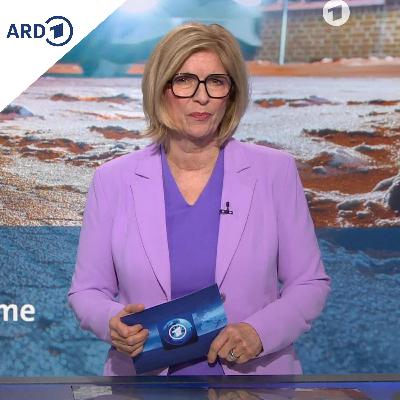 tagesschau in Einfacher Sprache 19:00 Uhr, 04.02.2026 tagesschau in Einfacher Sprache 19:00 Uhr, 04.02.2026