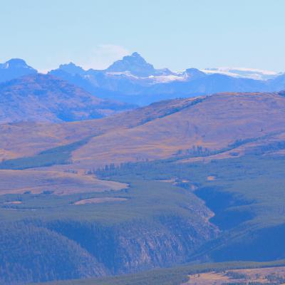 This Week in Yellowstone: October 16th to October 22nd, 2025