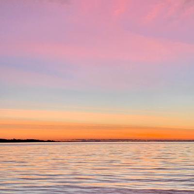 DET GRÆNSELØSE MENNESKE