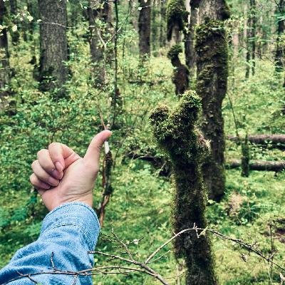 Vol.138｜大数据时代，想做一直往前看的人。