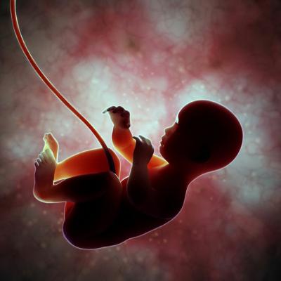 An embryo of a baby Girl: IN HER VOICE