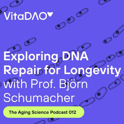 Exploring DNA Repair for Longevity with Prof. Björn Schumacher - The VitaDAO Aging Science Podcast