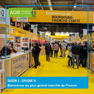 Bienvenue au plus grand marché de France