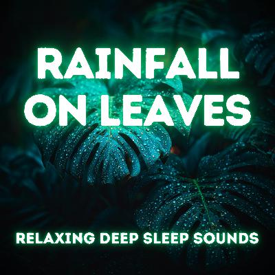 Rain on Leaves — Relaxing Rain Sounds for Deep Sleep