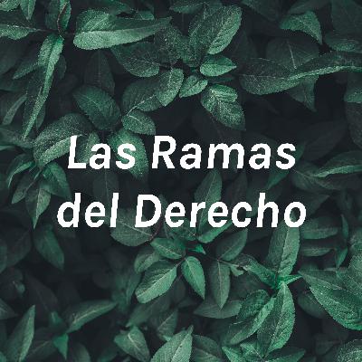 Las Ramas del Derecho
