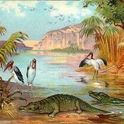 Op zoek naar de bron van de Nijl Op zoek naar de bron van de Nijl