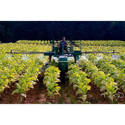 Tabak a životné prostredie