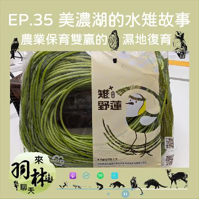 來羽林聊天 EP.35 美濃湖水雉與野蓮的故事/農友與生態保育人員的努力讓水雉成功「留美繁殖」ft. 陳柏豪 高雄市野鳥學會棲地部主任