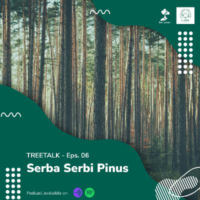 EPS.06 - Serba Serbi Pinus