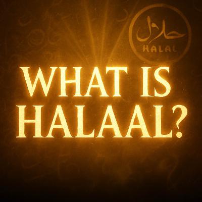 What Is Halaal? (Very Simple Explanation) | Mufti Menk