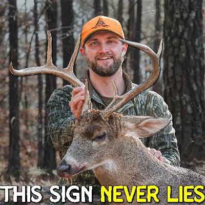 759 - Follow The FRESH SIGN - Andrew's Got Another Buck! 759 - Follow The FRESH SIGN - Andrew's Got Another Buck!