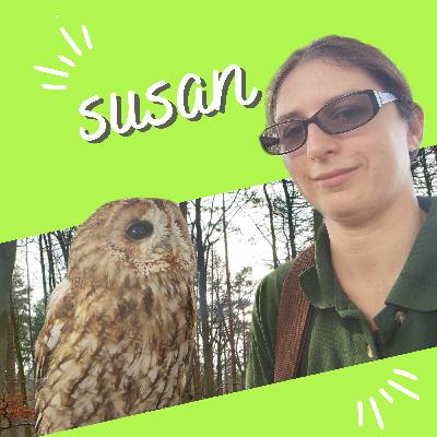 Episode 7 - A chat with Susan from the Suffolk Owl Sanctuary about why ringing birds is important, what we can all do in our gardens to help wildlife and the best place for Barn Owl boxes.