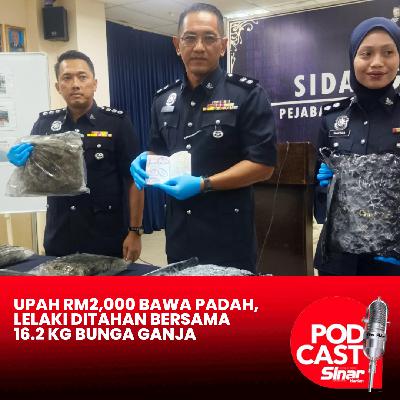Upah RM2,000 bawa padah, lelaki ditahan bersama 16.2 kg bunga ganja