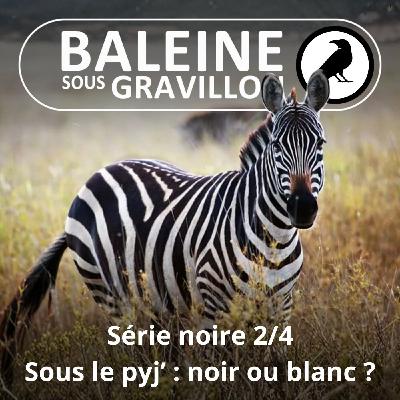 S07E105 Série noire 2/4 : La peau des zèbres, noire ou blanche sous le pyj' ?