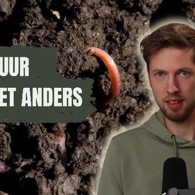 Waarom je planten niet goed groeien in de moestuin (de echte oorzaak)