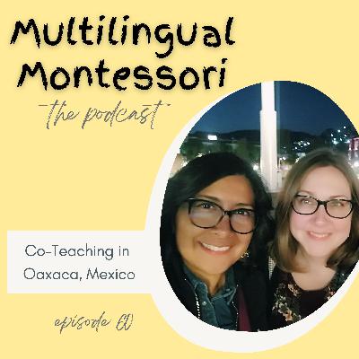 60. Co-Teaching in Oaxaca, Mexico