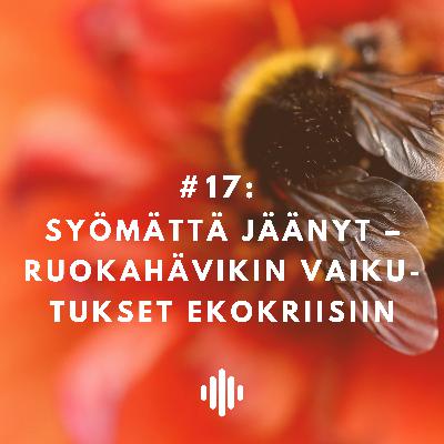 Syömättä jäänyt – ruokahävikin vaikutukset ekokriisiin