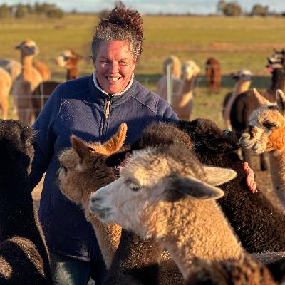 Ep 73: Amee Dennis_ Quentin Park Alpacas_Part B Ep 73: Amee Dennis_ Quentin Park Alpacas_Part B