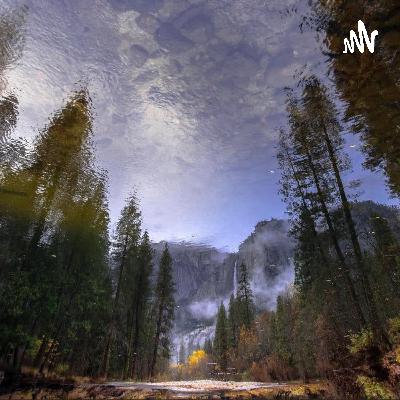 Der Kampf des Jahrhunderts, Kapitel 9