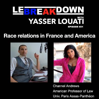 RACE RELATIONS IN FRANCE AND AMERICA