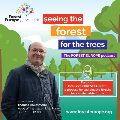 Peek into FOREST EUROPE – a process for sustainable forests for a sustainable future Peek into FOREST EUROPE – a process for sustainable forests for a sustainable future