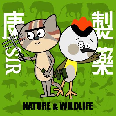 【康Sir News 66】生態領域工作者面臨身心危機!? 【康Sir News 66】生態領域工作者面臨身心危機!?