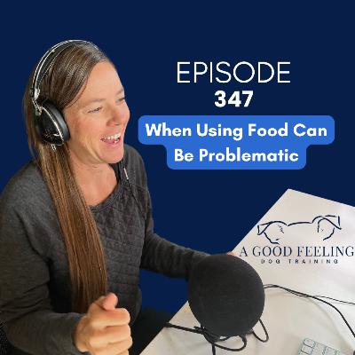 347. When Using Food Can Be Problematic