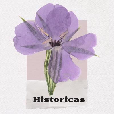 EP2: Históricas