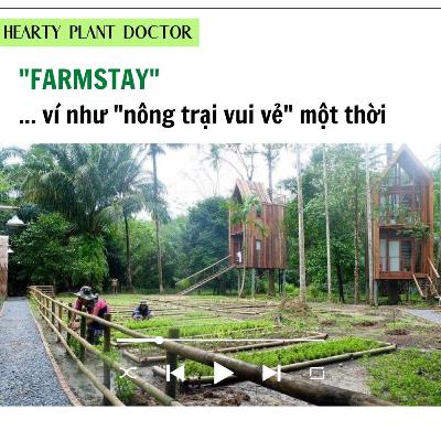 #45_"FARMSTAY" - ví như "nông trại vui vẻ" một thời