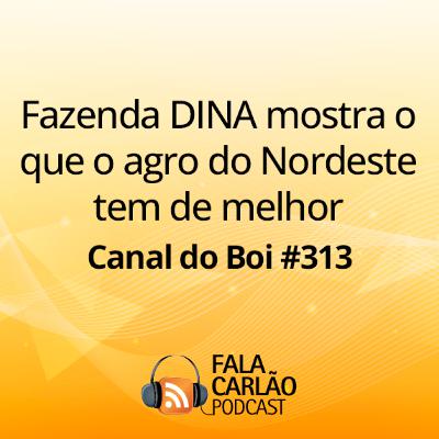 Fazenda DINA mostra o que o agro do Nordeste tem de melhor | Canal do Boi #313