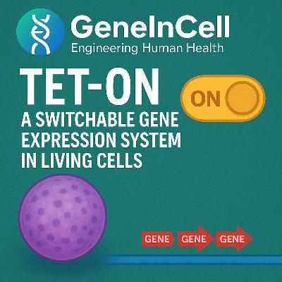 PiggyBac Transposons-A Switchable, High-Capacity Gene Delivery System in Living Cells