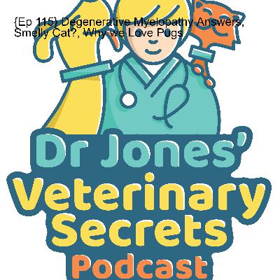 {Ep 115} Degenerative Myelopathy Answers, Smelly Cat?, Why we Love Pugs