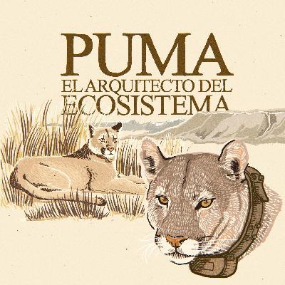 E05 · Puma