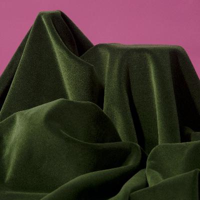 Kudzu: We've made a big mistake Kudzu: We've made a big mistake