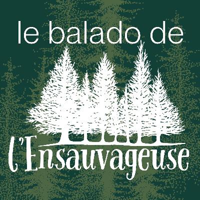 Le podcast de L'Ensauvageuse est lancé! C'est l'heure des présentations!