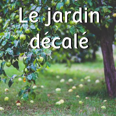 De la pomme au cidre, ça pétille !