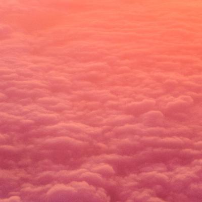 تکامل رفتار اجتماعی در انسان