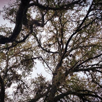 Lindsey Family Investigation pt.2