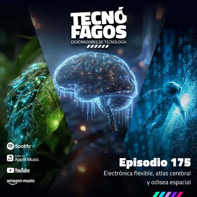 Ep. 175: Electrónica flexible, atlas cerebral y odisea espacial