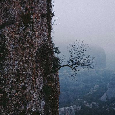 Best Popular Songs and Remixes 2025