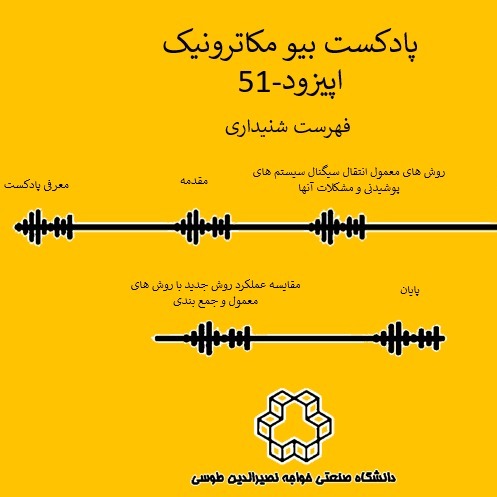 پنجاه و یک-شبکه ی بدن