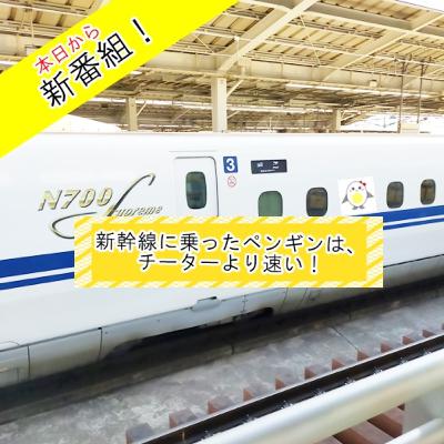 新幹線に乗ったペンギンは、チーターより速い！