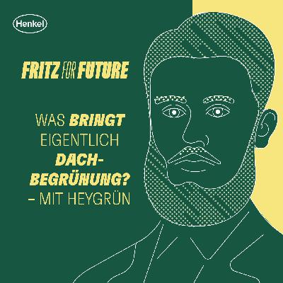 Was bringt eigentlich Dachbegrünung? – mit heygrün Was bringt eigentlich Dachbegrünung? – mit heygrün