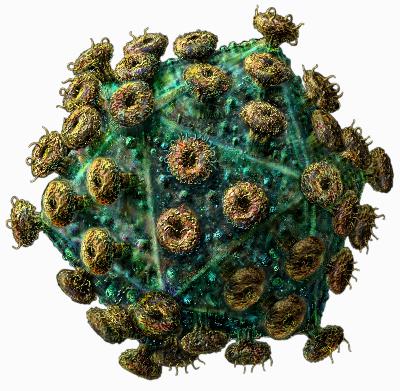 Edward Hooper’s The River and the Koprowski-Vaccine Source of HIV