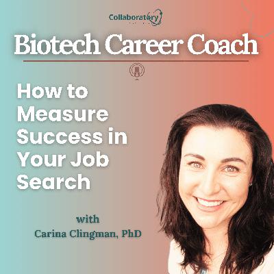 How to Measure Success in a Job Search (re-release)