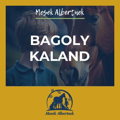 Bagolykaland Bagolykaland