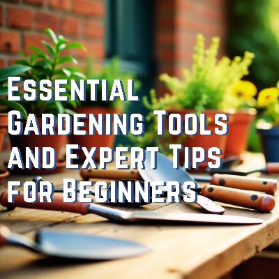 Essential Gardening Tools and Expert Tips for Beginners Essential Gardening Tools and Expert Tips for Beginners