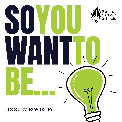 So You Want To Be - All Things HSC
