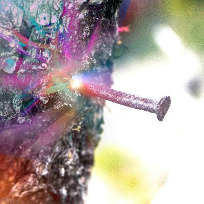 The Nail in the Tree: Sandy Hook School Shooting, Violence, Childhood, Poetry / Carol Ann Davis The Nail in the Tree: Sandy Hook School Shooting, Violence, Childhood, Poetry / Carol Ann Davis